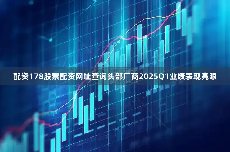 配资178股票配资网址查询头部厂商2025Q1业绩表现亮眼