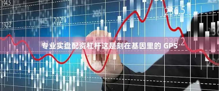 专业实盘配资杠杆这是刻在基因里的 GPS