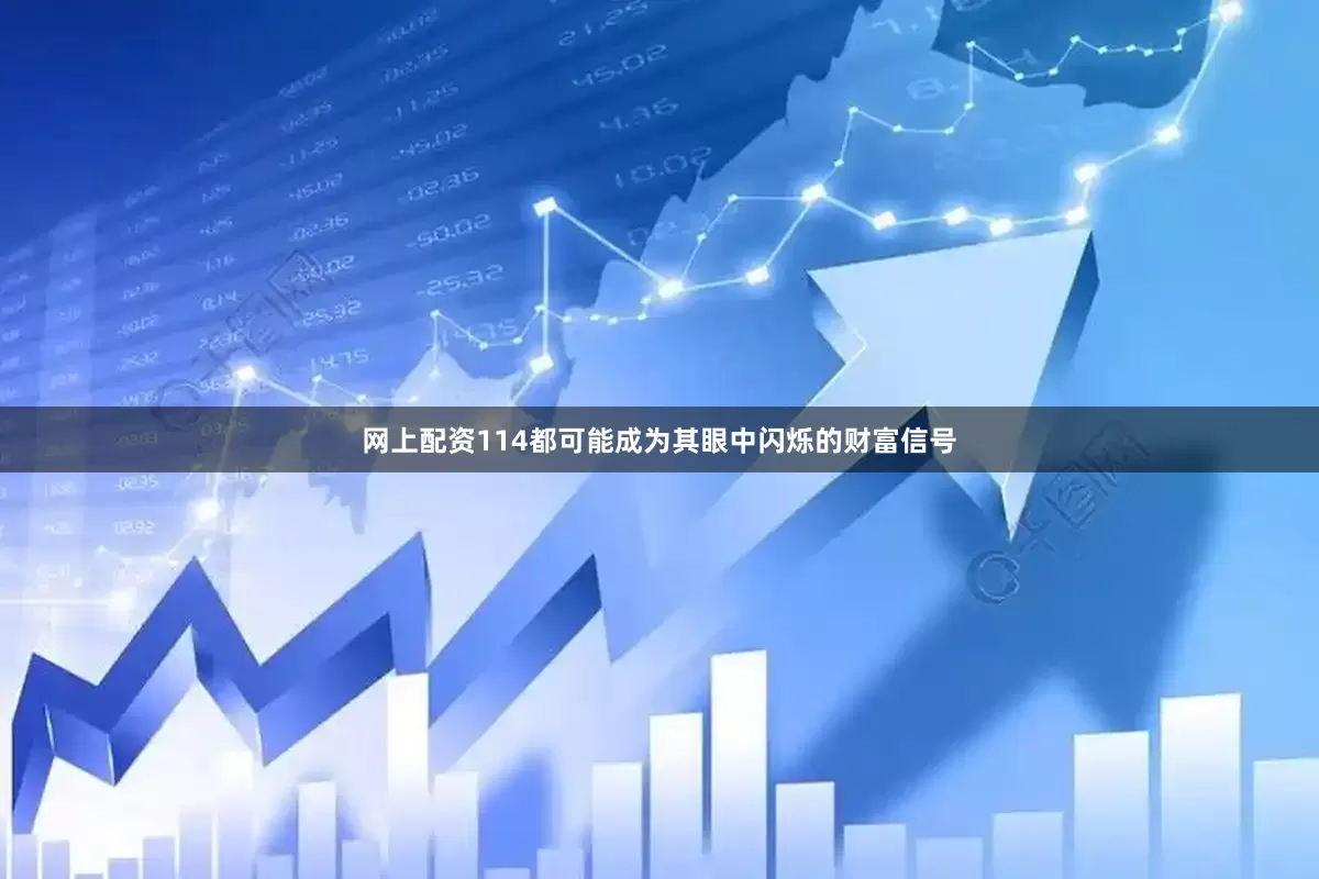 网上配资114都可能成为其眼中闪烁的财富信号