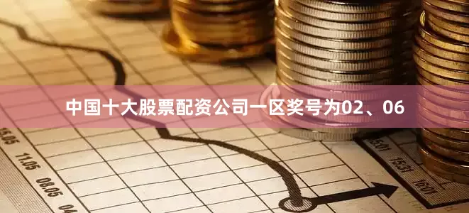 中国十大股票配资公司一区奖号为02、06