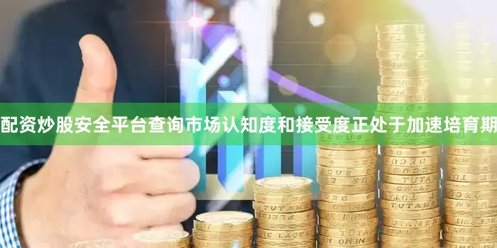 配资炒股安全平台查询市场认知度和接受度正处于加速培育期
