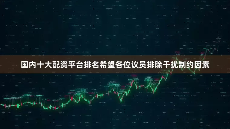 国内十大配资平台排名希望各位议员排除干扰制约因素